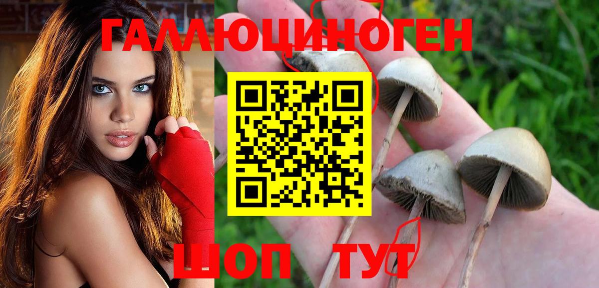 Галлюциногенные грибы мухоморы  Галлюциногенные грибы ЛСД  Вход с VPN  Богданович 